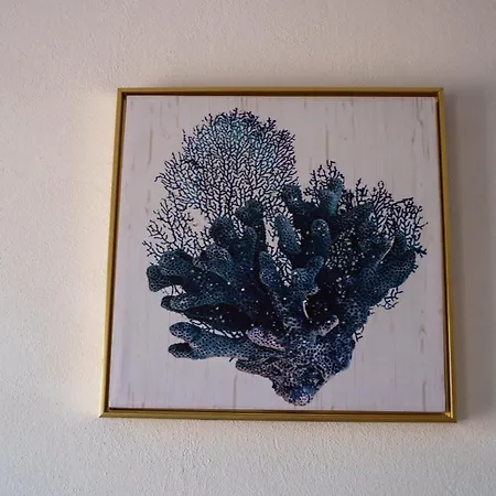 Welcomely - Corallo Blu